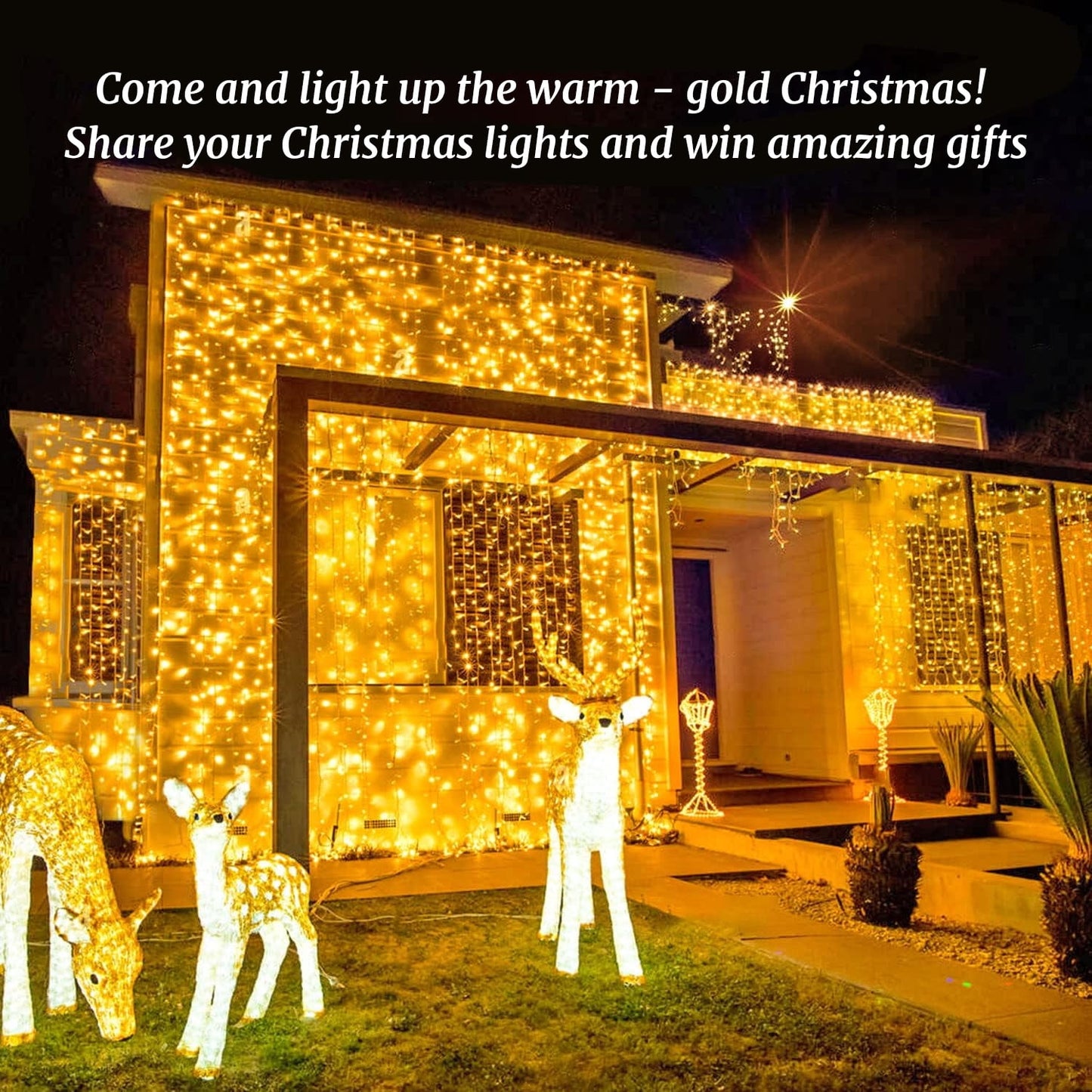 168FT Christmas Lights Outdoor 8 Modes Indoor String Lights for Outside Warm White