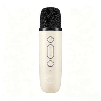Mini Karaoke Machine with 2 Wireless Microphones Portable Mini Karaoke Machine for Kids for Christmas Party Gift