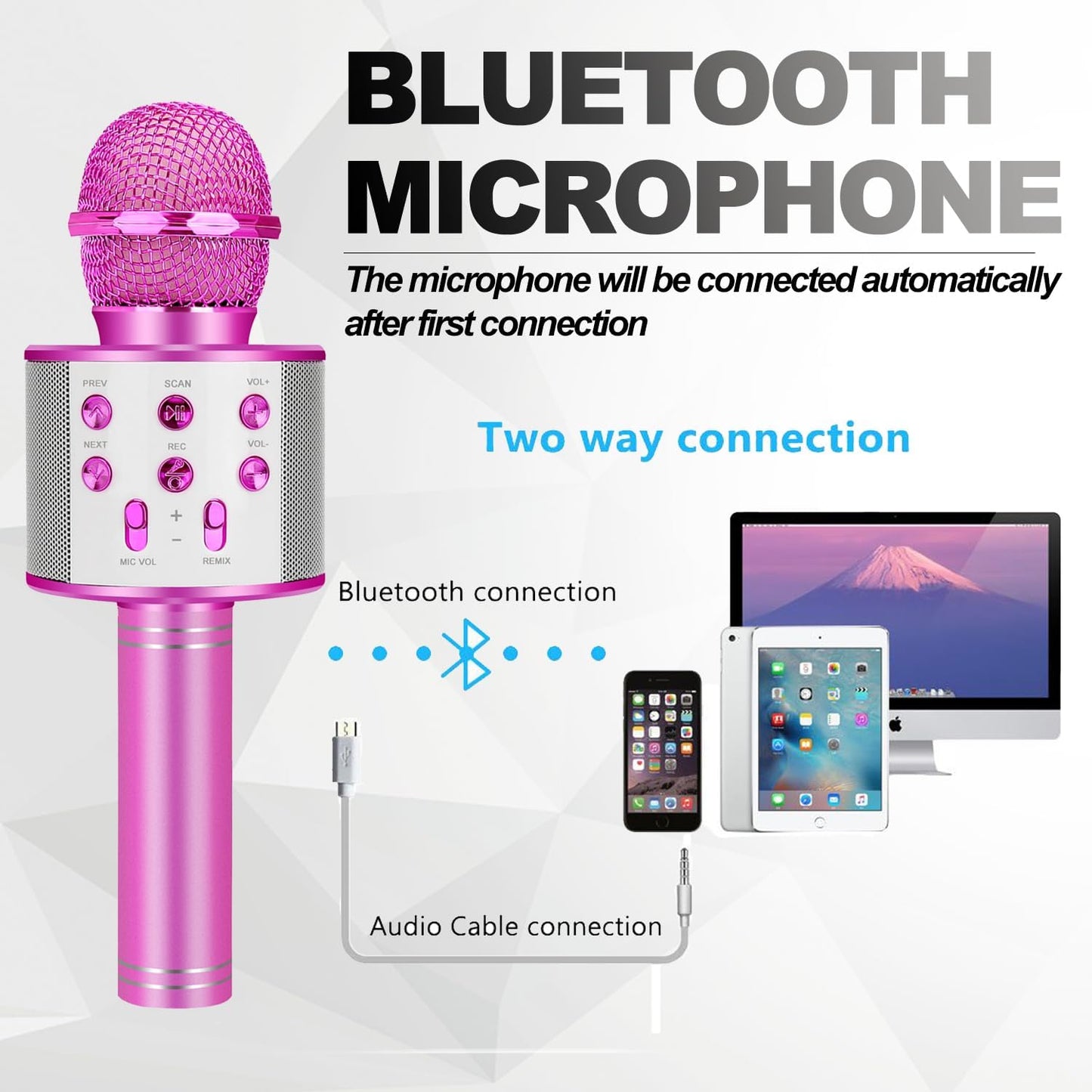 Karaoke Microphone,Purple