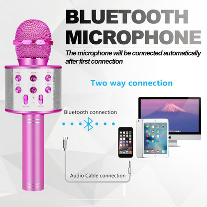 Karaoke Microphone,Purple